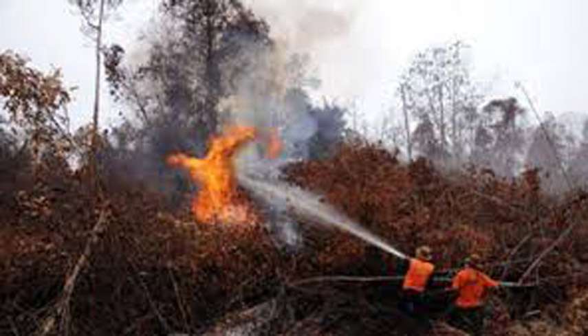 Rp 600 Miliar Dianggarkan Kemhut Untuk Atasi Kebakaran