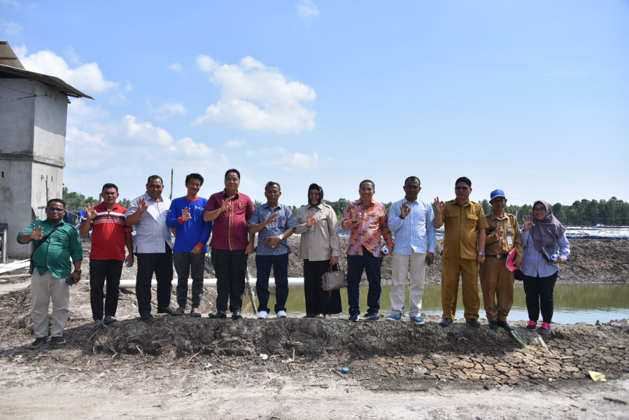 Komisi II DPRD Bengkalis Monitoring ke Rupat Utara,  Usaha Tambak Udang Potensi Tingkatkan Ekonomi Masyarakat