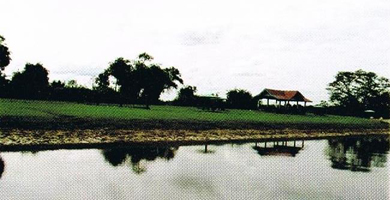 Pemkab Rohil Wacana Bangun Kebun Margasatwa Pulau Tilan