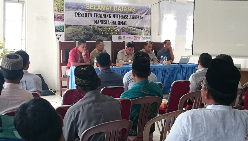 Sinarmas Kampanyekan Aksi Konservasi Harimau di Lansekap Senepis