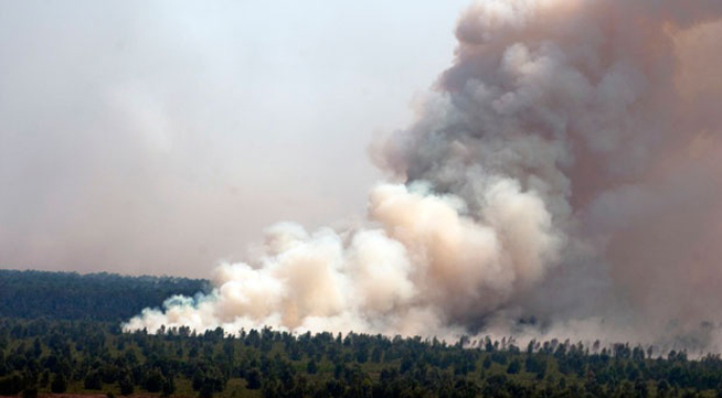 Catatan BNPB : Kerugian Akibat Kebakaran Hutan Riau Mencapai Rp20 Triliu