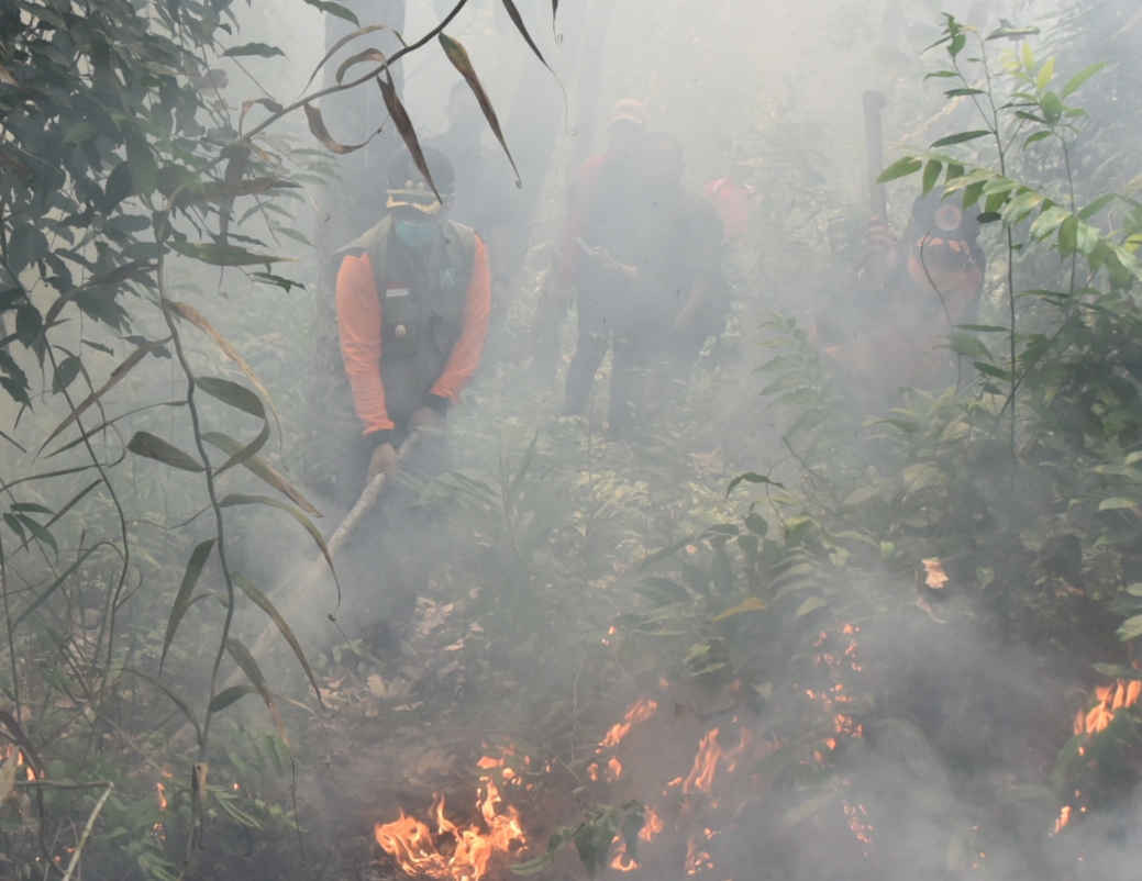 Luas Lahar Terbakar di Bengkalis Sudah Mencapai 120 Hektar