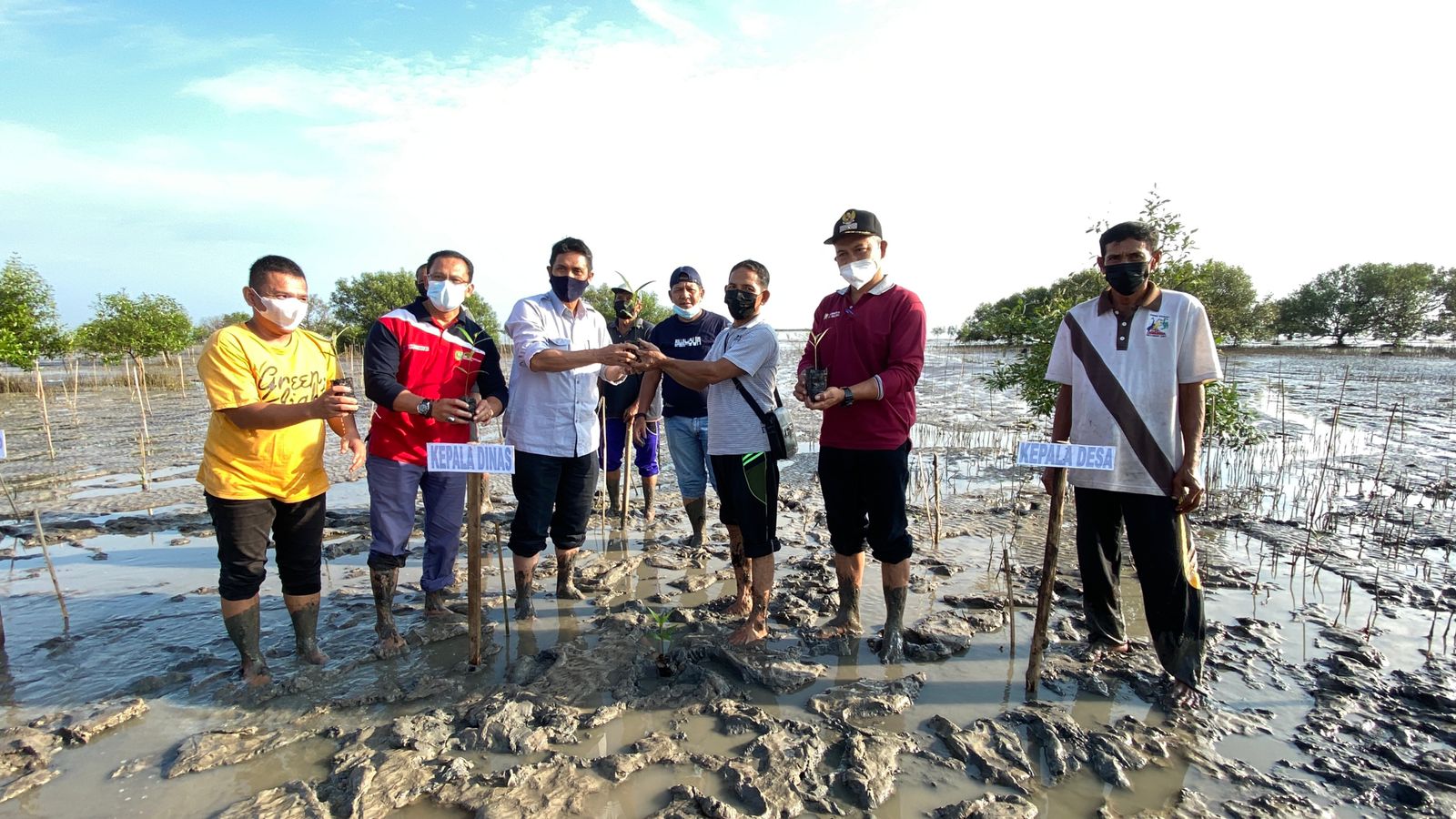 Menuju Riau Hijau, Kepala DKP Bersama KMKLP Tanam Mangrove di Teluk Papal Bengkalis