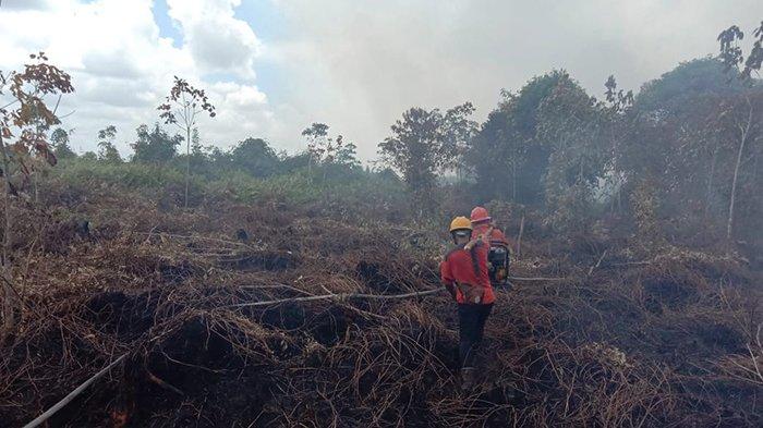 5 Hektare Hutan dan Lahan di Bengkalis Terbakar