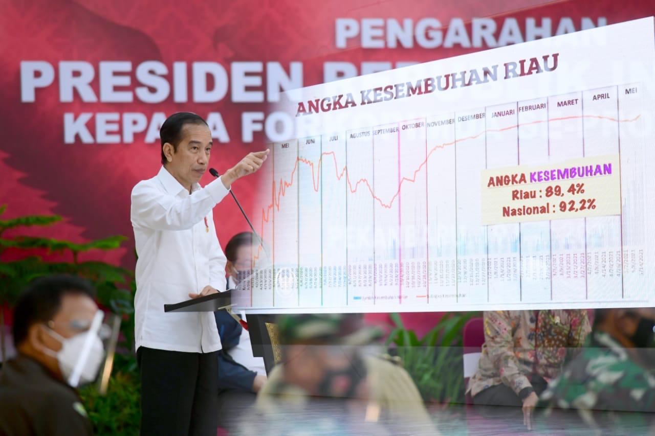 Presiden Jokowi Dorong Kerja Sama Daerah Bersama Tangani Pandemi Covid-19